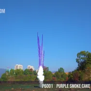 Purple Smoke Cake 25Shots — Day Time Fireworks