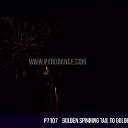 Golden Spinning tail to Golden Palm 100Shots — Aerial Cake
