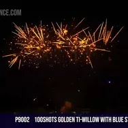 100Shots Golden Ti-Willow with blue stars silver fish — Professional Cake