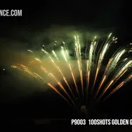 100Shots Golden Glittery Willow — Professional Cake
