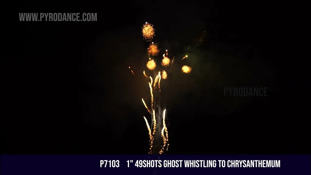 1" 49Shots Ghost whistling to chrysanthemum