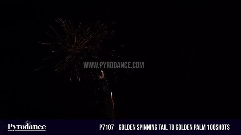Golden Spinning tail to Golden Palm 100Shots